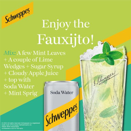 Schweppes Soda Water 150ml