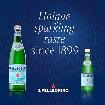 San Pellegrino Sparkling Natural Mineral Water 750ml