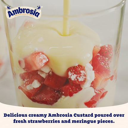 Ambrosia Devon Custard 1kg