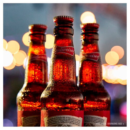 Budweiser Beer Bottle 15 x 300ml